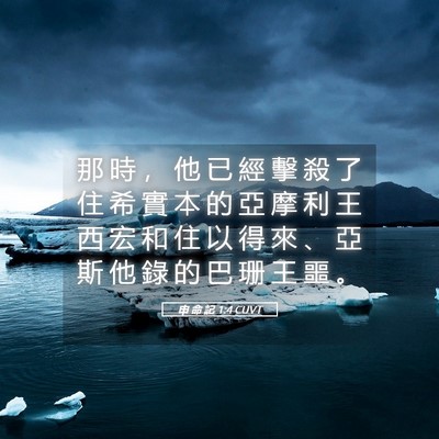Picture 05 - 申 命 記 1:4 CUVT - 那 時 ， 他 已 經 擊 殺 了 住 希 實 - Bible Verse Picture
