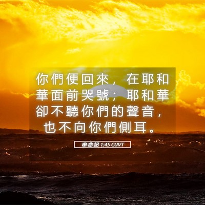 Picture 05 - 申 命 記 1:45 CUVT - 你 們 便 回 來 ， 在 耶 和 華 面 前 - Bible Verse Picture