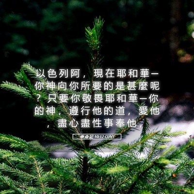 Picture 05 - 申 命 記 10:12 CUVT - 以 色 列 阿 ， 現 在 耶 和 華 ─ 你 - Bible Verse Picture