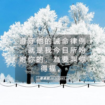 Picture 05 - 申 命 記 10:13 CUVT - 遵 守 他 的 誡 命 律 例 ， 就 是 我 - Bible Verse Picture