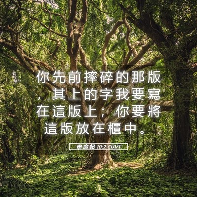 Picture 05 - 申 命 記 10:2 CUVT - 你 先 前 摔 碎 的 那 版 ， 其 上 的 - Bible Verse Picture