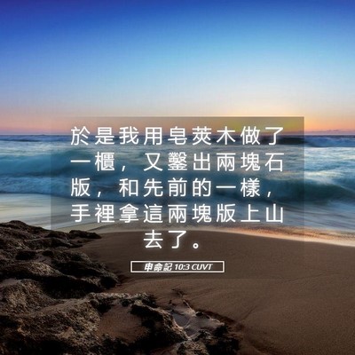Picture 05 - 申 命 記 10:3 CUVT - 於 是 我 用 皂 莢 木 做 了 一 櫃 ， - Bible Verse Picture