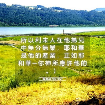 Picture 05 - 申 命 記 10:9 CUVT - 所 以 利 未 人 在 他 弟 兄 中 無 分 - Bible Verse Picture