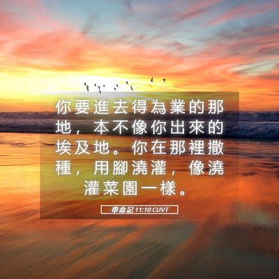 Picture 05 - 申 命 記 11:10 CUVT - 你 要 進 去 得 為 業 的 那 地 ， 本 - Bible Verse Picture