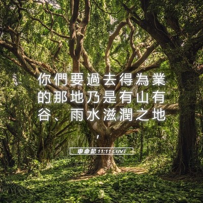 Picture 05 - 申 命 記 11:11 CUVT - 你 們 要 過 去 得 為 業 的 那 地 乃 - Bible Verse Picture