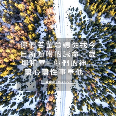 Picture 05 - 申 命 記 11:13 CUVT - 你 們 若 留 意 聽 從 我 今 日 所 吩 - Bible Verse Picture
