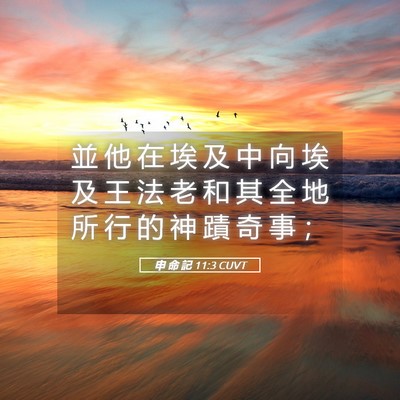 Picture 05 - 申 命 記 11:3 CUVT - 並 他 在 埃 及 中 向 埃 及 王 法 老 - Bible Verse Picture