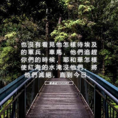 Picture 05 - 申 命 記 11:4 CUVT - 也 沒 有 看 見 他 怎 樣 待 埃 及 的 - Bible Verse Picture