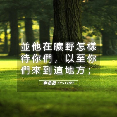 Picture 05 - 申 命 記 11:5 CUVT - 並 他 在 曠 野 怎 樣 待 你 們 ， 以 - Bible Verse Picture
