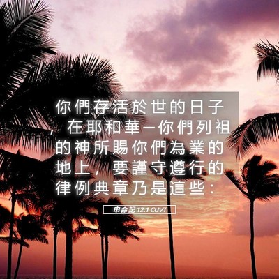 Picture 05 - 申 命 記 12:1 CUVT - 你 們 存 活 於 世 的 日 子 ， 在 耶 - Bible Verse Picture