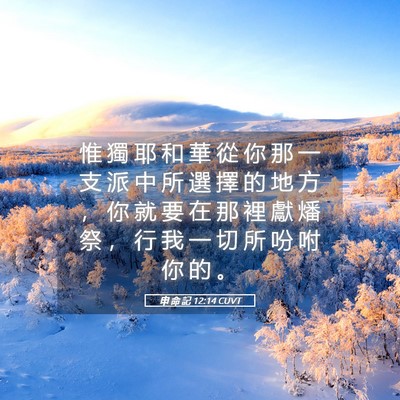 Picture 05 - 申 命 記 12:14 CUVT - 惟 獨 耶 和 華 從 你 那 一 支 派 中 - Bible Verse Picture