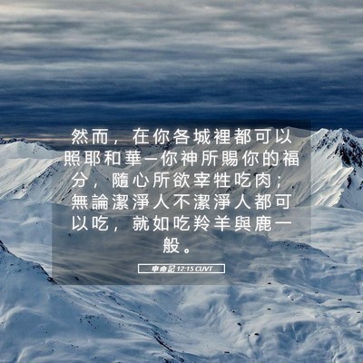 Picture 05 - 申 命 記 12:15 CUVT - 然 而 ， 在 你 各 城 裡 都 可 以 照 - Bible Verse Picture