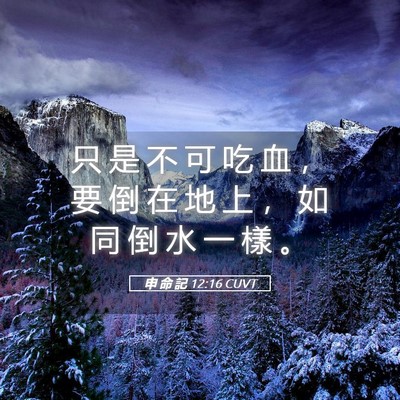 Picture 05 - 申 命 記 12:16 CUVT - 只 是 不 可 吃 血 ， 要 倒 在 地 上 - Bible Verse Picture