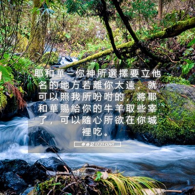 Picture 05 - 申 命 記 12:21 CUVT - 耶 和 華 ─ 你 神 所 選 擇 要 立 他 - Bible Verse Picture