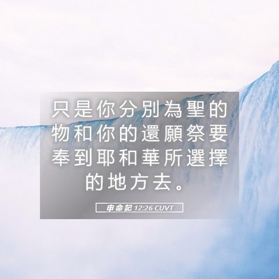 Picture 05 - 申 命 記 12:26 CUVT - 只 是 你 分 別 為 聖 的 物 和 你 的 - Bible Verse Picture