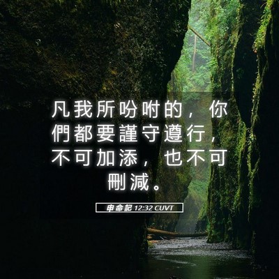 Picture 05 - 申 命 記 12:32 CUVT - 凡 我 所 吩 咐 的 ， 你 們 都 要 謹 - Bible Verse Picture