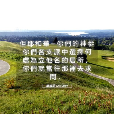 Picture 05 - 申 命 記 12:5 CUVT - 但 耶 和 華 ─ 你 們 的 神 從 你 們 - Bible Verse Picture