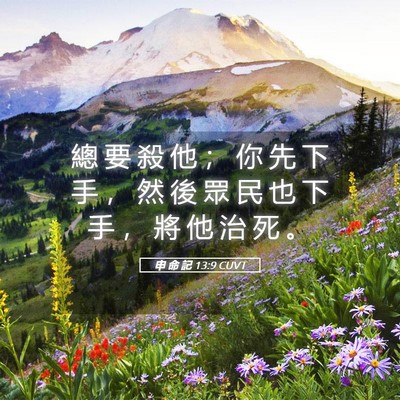 Picture 05 - 申 命 記 13:9 CUVT - 總 要 殺 他 ； 你 先 下 手 ， 然 後 - Bible Verse Picture