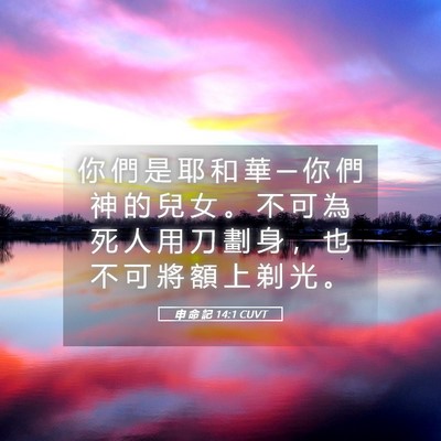 Picture 05 - 申 命 記 14:1 CUVT - 你 們 是 耶 和 華 ─ 你 們 神 的 兒 - Bible Verse Picture