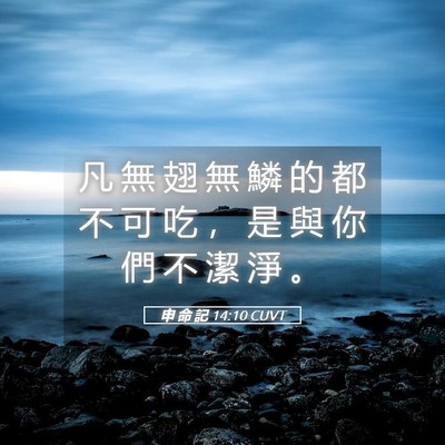 Picture 05 - 申 命 記 14:10 CUVT - 凡 無 翅 無 鱗 的 都 不 可 吃 ， 是 - Bible Verse Picture