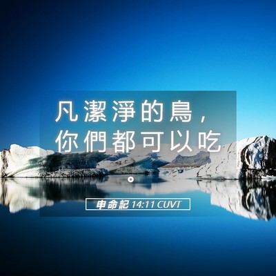 Picture 05 - 申 命 記 14:11 CUVT - 凡 潔 淨 的 鳥 ， 你 們 都 可 以 吃 - Bible Verse Picture