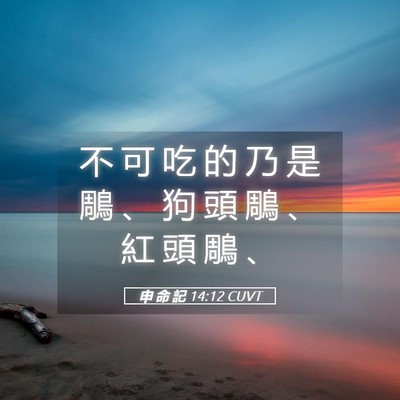 Picture 05 - 申 命 記 14:12 CUVT - 不 可 吃 的 乃 是 鵰 、 狗 頭 鵰 、 - Bible Verse Picture