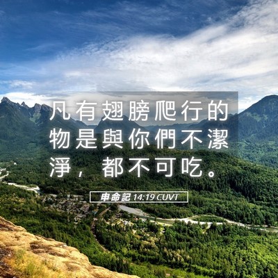 Picture 05 - 申 命 記 14:19 CUVT - 凡 有 翅 膀 爬 行 的 物 是 與 你 們 - Bible Verse Picture