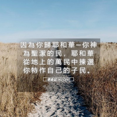 Picture 05 - 申 命 記 14:2 CUVT - 因 為 你 歸 耶 和 華 ─ 你 神 為 聖 - Bible Verse Picture