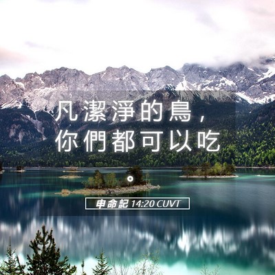 Picture 05 - 申 命 記 14:20 CUVT - 凡 潔 淨 的 鳥 ， 你 們 都 可 以 吃 - Bible Verse Picture