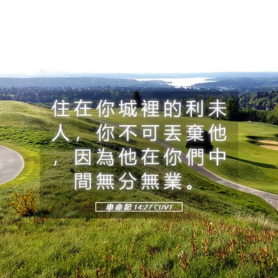 Picture 05 - 申 命 記 14:27 CUVT - 住 在 你 城 裡 的 利 未 人 ， 你 不 - Bible Verse Picture