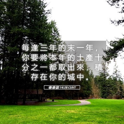 Picture 05 - 申 命 記 14:28 CUVT - 每 逢 三 年 的 末 一 年 ， 你 要 將 - Bible Verse Picture