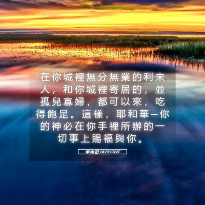 Picture 05 - 申 命 記 14:29 CUVT - 在 你 城 裡 無 分 無 業 的 利 未 人 - Bible Verse Picture