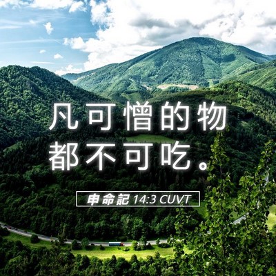Picture 05 - 申 命 記 14:3 CUVT - 凡 可 憎 的 物 都 不 可 吃 - Bible Verse Picture