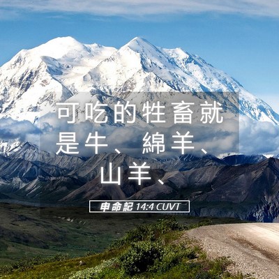 Picture 05 - 申 命 記 14:4 CUVT - 可 吃 的 牲 畜 就 是 牛 、 綿 羊 、 - Bible Verse Picture