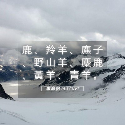Picture 05 - 申 命 記 14:5 CUVT - 鹿 、 羚 羊 、 麃 子 、 野 山 羊 、 - Bible Verse Picture