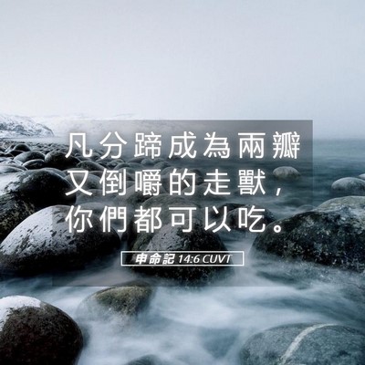 Picture 05 - 申 命 記 14:6 CUVT - 凡 分 蹄 成 為 兩 瓣 又 倒 嚼 的 走 - Bible Verse Picture