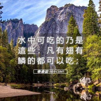 Picture 05 - 申 命 記 14:9 CUVT - 水 中 可 吃 的 乃 是 這 些 ： 凡 有 - Bible Verse Picture