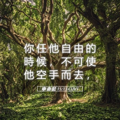 Picture 05 - 申 命 記 15:13 CUVT - 你 任 他 自 由 的 時 候 ， 不 可 使 - Bible Verse Picture