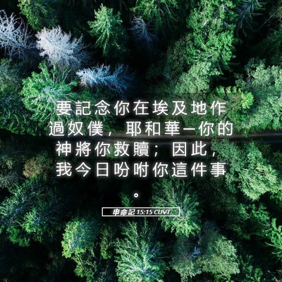 Picture 05 - 申 命 記 15:15 CUVT - 要 記 念 你 在 埃 及 地 作 過 奴 僕 - Bible Verse Picture