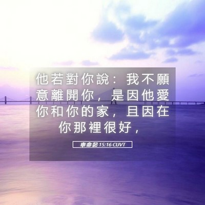 Picture 05 - 申 命 記 15:16 CUVT - 他 若 對 你 說 ： 我 不 願 意 離 開 - Bible Verse Picture