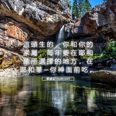 Picture 05 - 申 命 記 15:20 CUVT - 這 頭 生 的 ， 你 和 你 的 家 屬 ， - Bible Verse Picture