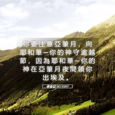 Picture 05 - 申 命 記 16:1 CUVT - 你 要 注 意 亞 筆 月 ， 向 耶 和 華 - Bible Verse Picture