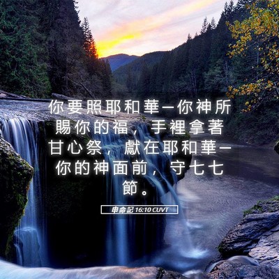 Picture 05 - 申 命 記 16:10 CUVT - 你 要 照 耶 和 華 ─ 你 神 所 賜 你 - Bible Verse Picture