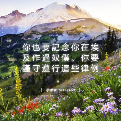 Picture 05 - 申 命 記 16:12 CUVT - 你 也 要 記 念 你 在 埃 及 作 過 奴 - Bible Verse Picture