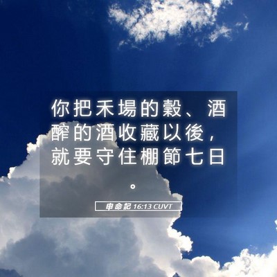 Picture 05 - 申 命 記 16:13 CUVT - 你 把 禾 場 的 穀 、 酒 醡 的 酒 收 - Bible Verse Picture
