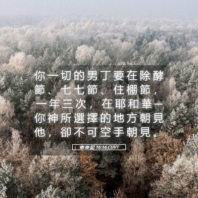 Picture 05 - 申 命 記 16:16 CUVT - 你 一 切 的 男 丁 要 在 除 酵 節 、 - Bible Verse Picture