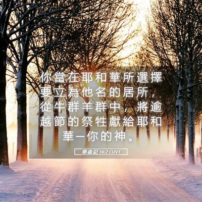 Picture 05 - 申 命 記 16:2 CUVT - 你 當 在 耶 和 華 所 選 擇 要 立 為 - Bible Verse Picture