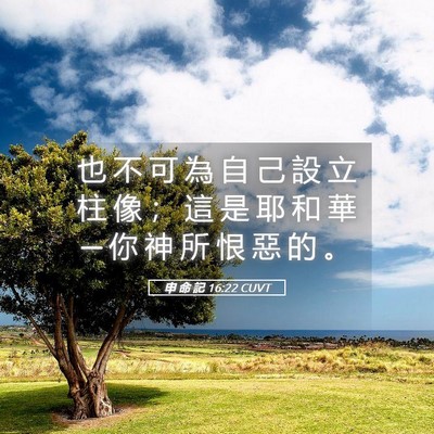 Picture 05 - 申 命 記 16:22 CUVT - 也 不 可 為 自 己 設 立 柱 像 ； 這 - Bible Verse Picture