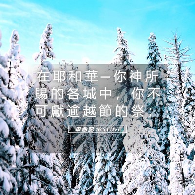 Picture 05 - 申 命 記 16:5 CUVT - 在 耶 和 華 ─ 你 神 所 賜 的 各 城 - Bible Verse Picture