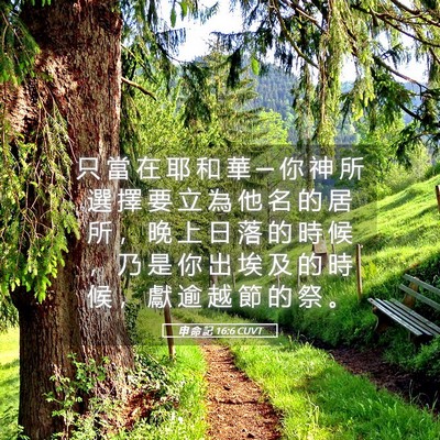 Picture 05 - 申 命 記 16:6 CUVT - 只 當 在 耶 和 華 ─ 你 神 所 選 擇 - Bible Verse Picture